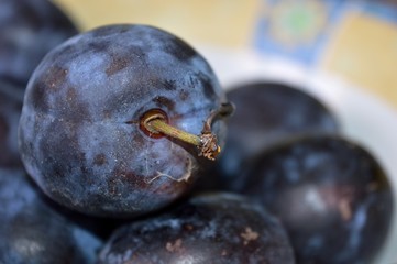 blue, juicy ripe homemade plum