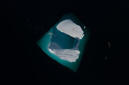Arctic Icebergs