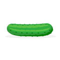 Cucumber pack isolated on white background. Vector illustration.
