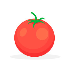 Tomato isolated on white background. Vector illustration.