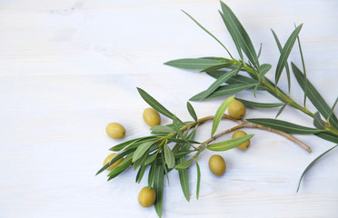 Flat lay. Olive branch with leaves with green olives on a blue background. Healthy food...