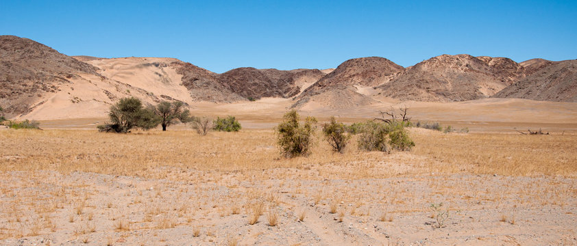 A panorama of the Damaraland landscape in Namibia