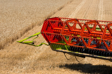 Reaping wheat field working.