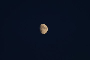 Mond