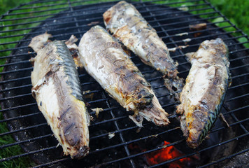 Barbecue mackerel fish on a grill close-up.