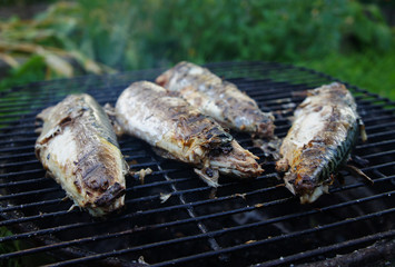 Barbecue mackerel fish on a grill close-up.