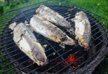 Barbecue mackerel fish on a grill close-up.