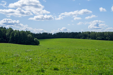 Rural beautiful landscape. Green field with blue sky.