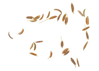 Cumin seeds isolated on white background, top view. Caraway seeds.