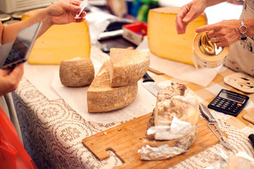 Different kinds of cheese at cheese festival. Organic and farm food
