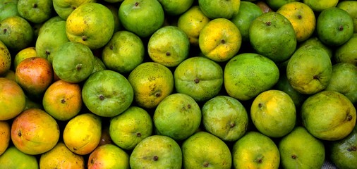 Group of Tasty Fresh Green and Yellow Mangoes