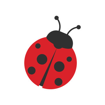 Ladybug icon isolated on white background. Vector illustration.