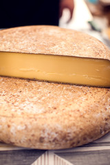Different kinds of cheese at cheese festival. Organic and farm food
