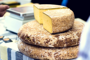 Different kinds of cheese at cheese festival. Organic and farm food
