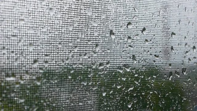 The raindrops on the window pane.