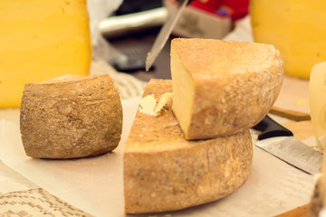 Different kinds of cheese at cheese festival. Organic and farm food