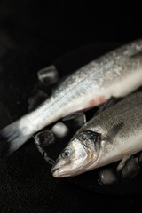 Fresh labrax on ice, raw sea fish. Protein and omega 3.