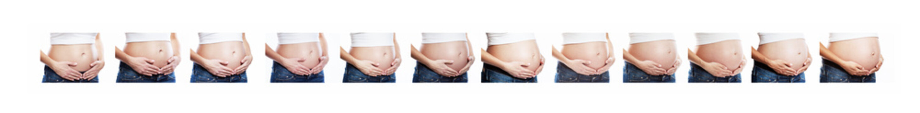 Growth of the abdomen of a pregnant woman, closeup. Set of photos of different terms. Collage. Isolated over white background. Panorama.