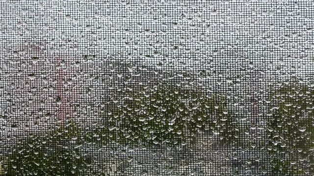 The raindrops on the window pane.
