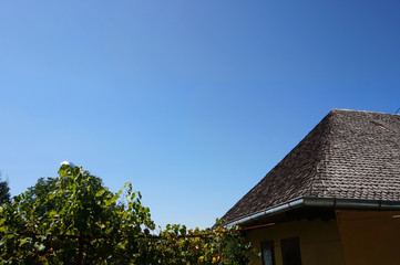 roof