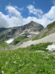 Fototapeta premium Abkhazia, Arabica plateau in summer
