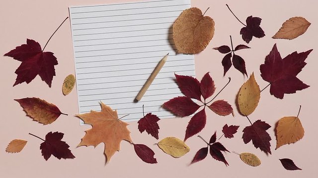 Pencil is rolling on a lined sheet of paper and stopping. Pink background with colorful autumn leaves. Concept of back to school