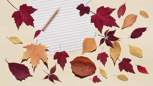 Pencil is rolling on a lined sheet of paper and stopping. Beige background with colorful autumn leaves. Bright sunlight and hard shadows. Concept of back to school
