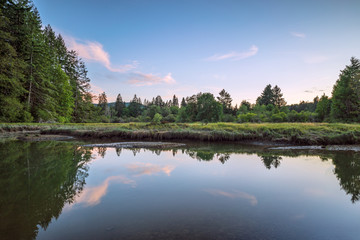 Oyster Bay and Kennedy Creek At Sunset