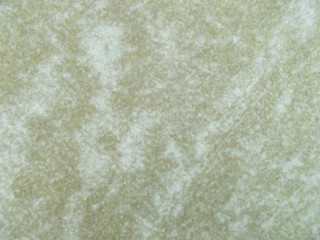 Concrete surface texture for interior design