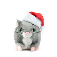 Fototapeta premium Symbol of 2020 rat on a white isolated background in a Christmas hat