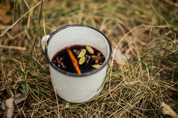 Mulled wine in a metal cup with clove cinnamon, star anise and cardamom