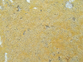  Concrete surface texture for interior design
