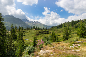 Fototapeta premium Exploring the mountain