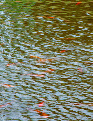 Will Rogers Park and Gardens..2