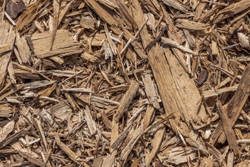 Beautiful horizontal texture of brown bark and wood chips of conifer tree with knots and cracks for...