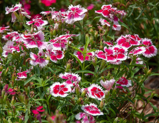 Will Rogers Park and Gardens..2