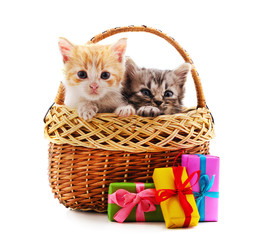 Fototapeta na wymiar Two kittens in the basket with a gift.