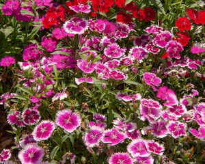 Will Rogers Park and Gardens..2