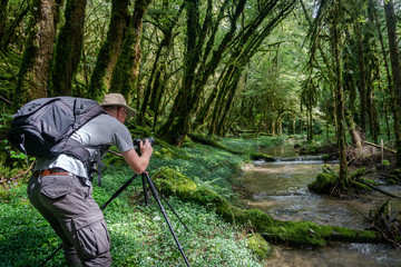 un photographe de nature avec son matériel en action dans une forêt