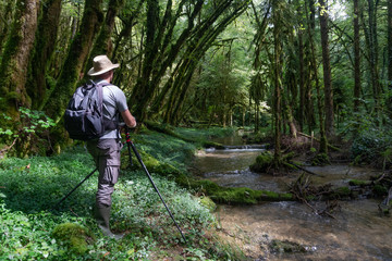 un photographe en action dans un paysage de for&ecirc;t