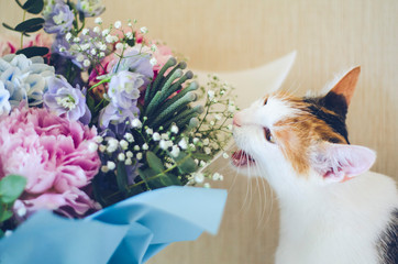 Tricolor domestic cat bites flowers. Peonies.