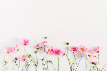 Beautiful flowers composition. Pink cosmos flowers on white background. Flat lay, top view, copy...