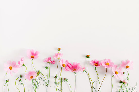 Beautiful flowers on white background with space on the right Photo  Free  Download  Pink and white background Beautiful flowers Flower phone  wallpaper