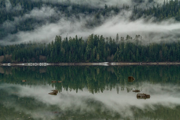 Obraz na płótnie Canvas lake in fog