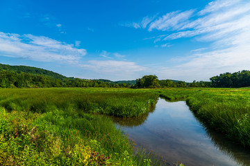 landscape with pond and blue sky