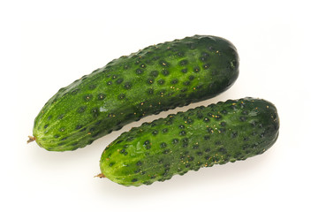 Ripe fresh green two cucumbers