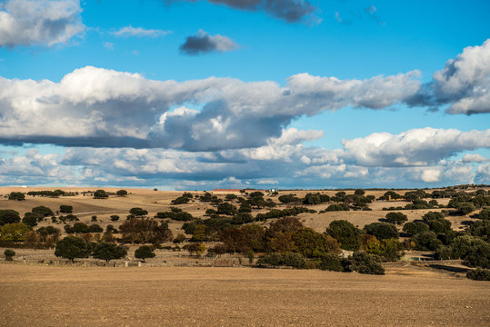 DEHESA CHARRA SALAMANCA NUBES CAMPO CHARO