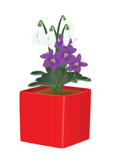Flower in white pot. vector