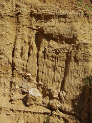 Zarok, details of specific sandy area of Baska, island Krk, Croatia, Europe