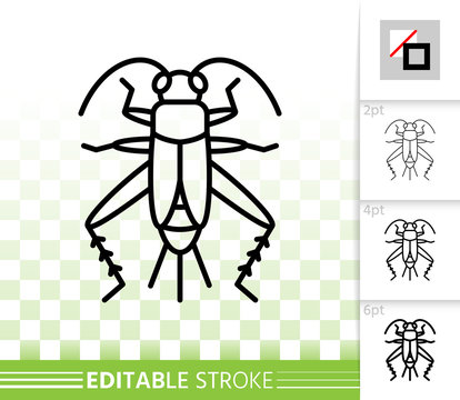 Cricket Bug simple black line vector icon
